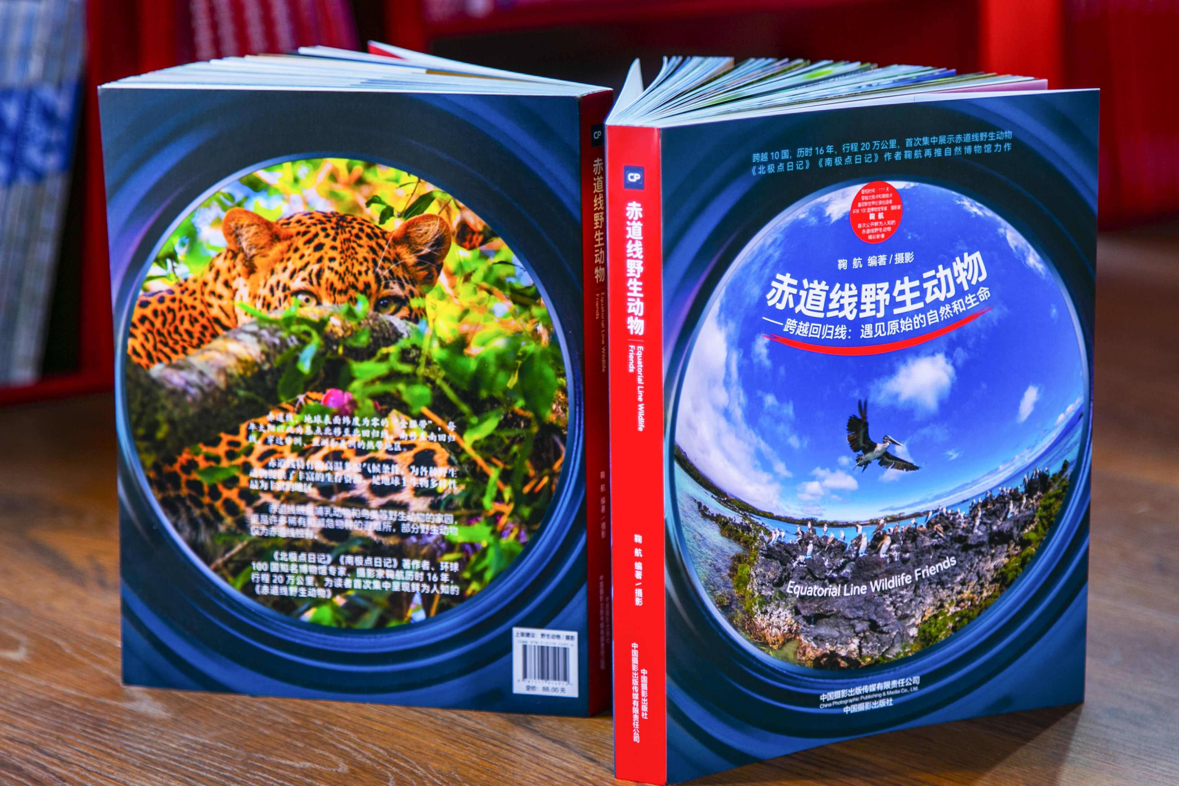 新之航自然博物館四部曲III《赤道線野生動(dòng)物》限量首發(fā)，預(yù)售開(kāi)啟！